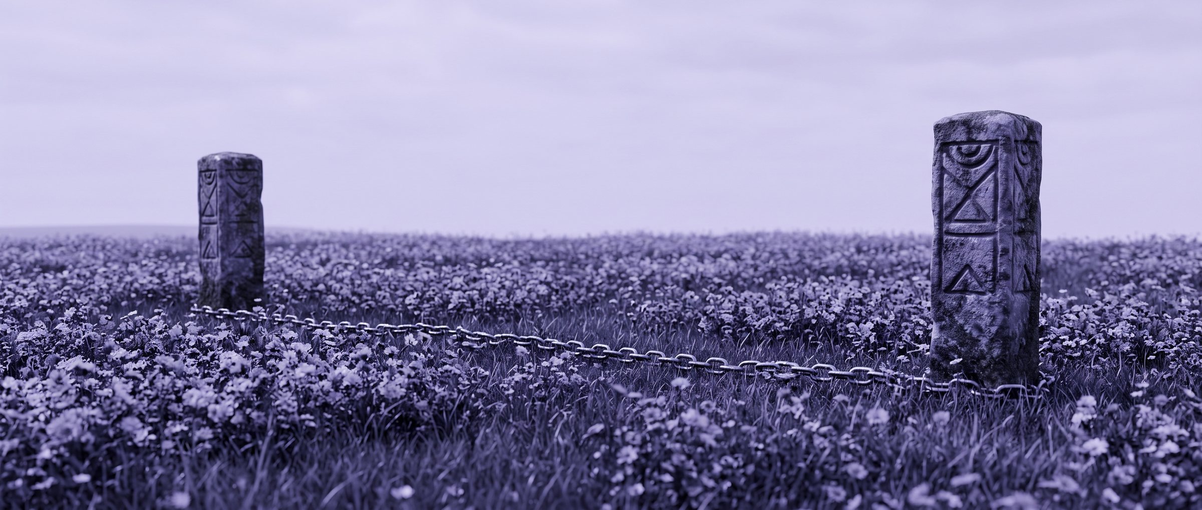 Two carved stone boundary markers set apart in a wide field of flowers, a surveyor’s chain lying between them